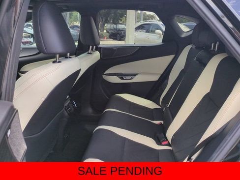 Certified 2024 Lexus NX 350h AWD w/ Vision Package image 13