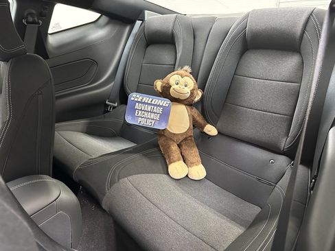 New 2025 Ford Mustang Coupe image 14