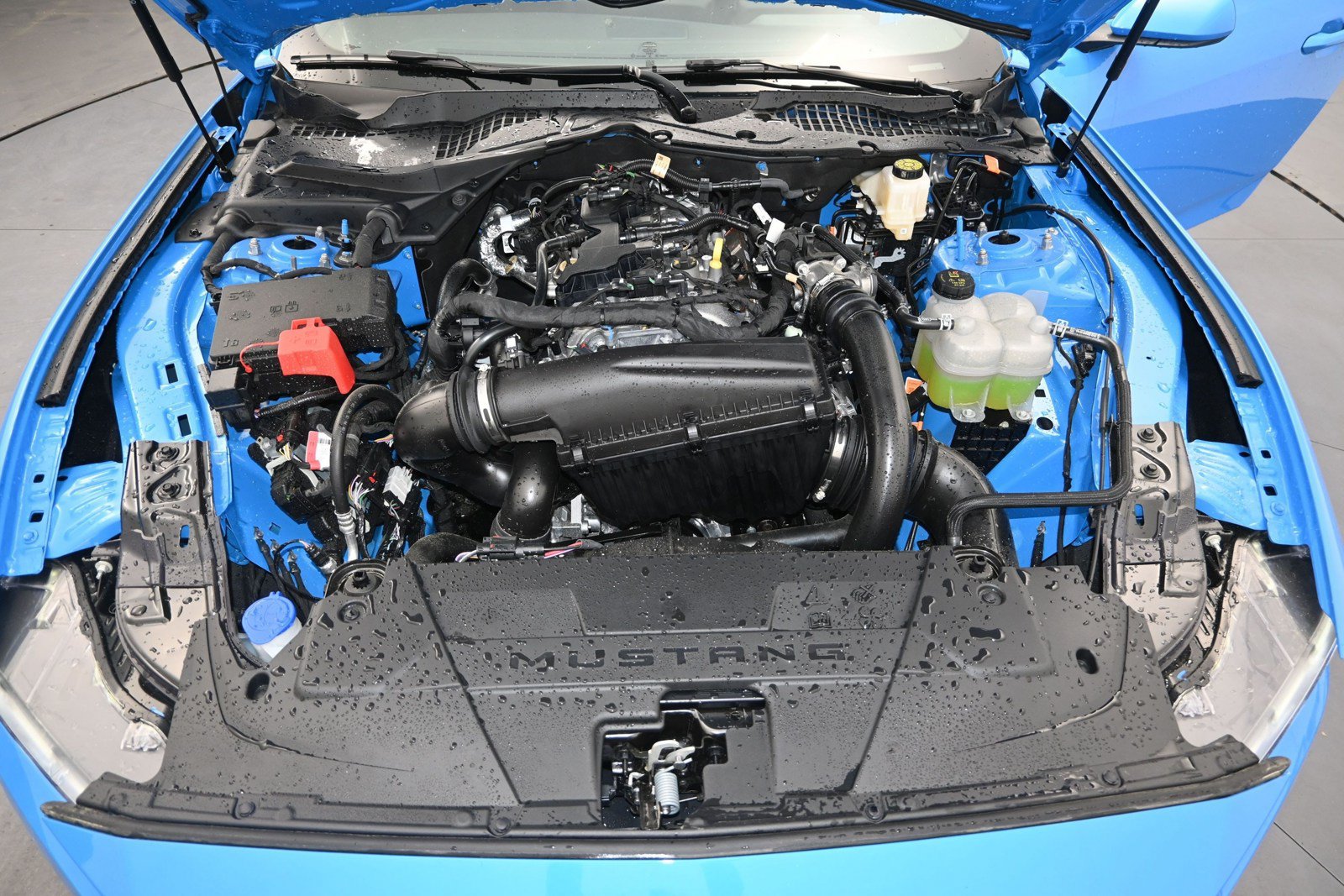 Used 2026 Ford Mustang Coupe RWD image 10