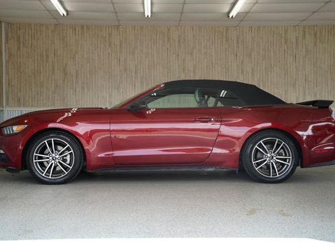 Used 2017 Ford Mustang Premium RWD image 5