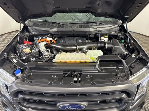 Used 2023 Ford F150 XLT w/ Equipment Group 302A High image 4