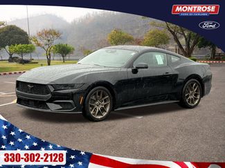 New 2026 Ford Mustang Premium video 1