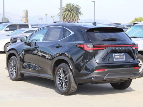 Certified 2025 Lexus NX 350h AWD w/ Cold Area Package image 19