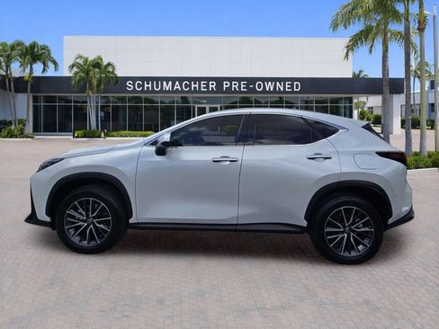 Used 2024 Lexus NX 250 FWD w/ Cold Area Package image 4