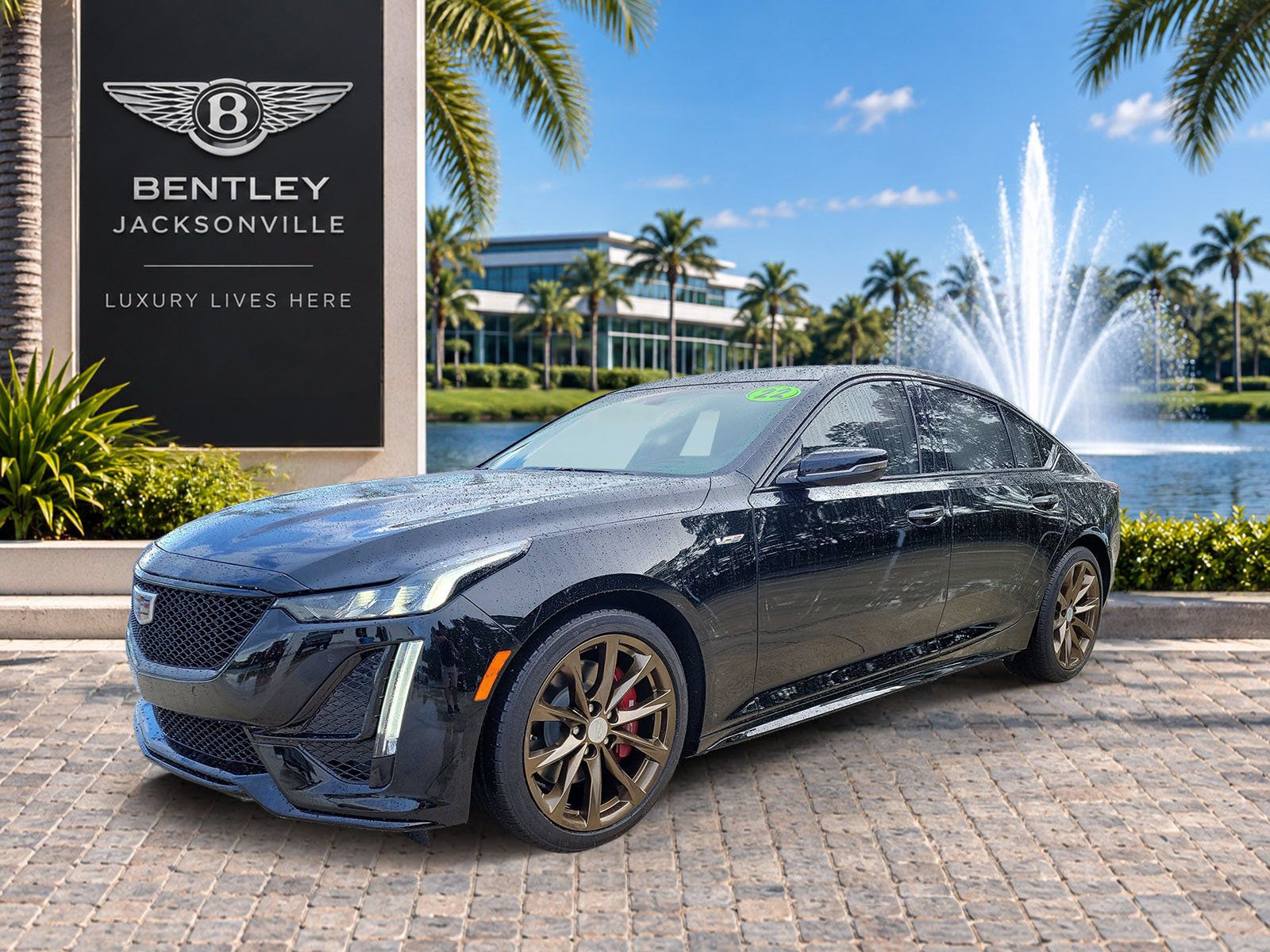 Used 2022 Cadillac CT5 V w/ Premium Package RWD image 6