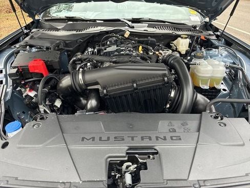 New 2025 Ford Mustang Premium image 19