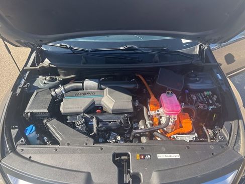 Used 2023 Kia Sportage LX image 19