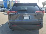 Used 2019 Toyota RAV4 XLE image 5
