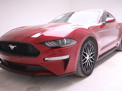 Used 2023 Ford Mustang Coupe w/ Equipment Group 101A