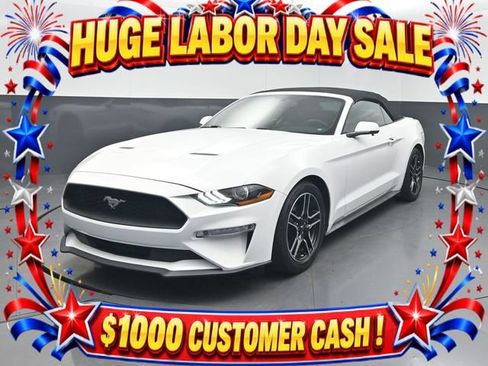 Used 2019 Ford Mustang Premium RWD image 1
