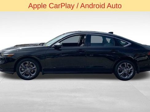 Used 2025 Honda Accord EX-L image 4