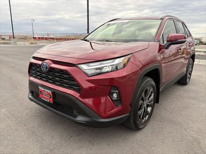 Certified 2024 Toyota RAV4 XLE Premium w/ Weather Package