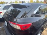 Used 2021 Ford Escape SE w/ Cold Weather Package image 3