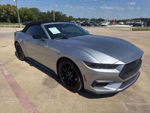 Used 2024 Ford Mustang Convertible w/ Mustang Nite Pony Package image 10