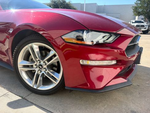 Used 2019 Ford Mustang Premium w/ Equipment Group 201A RWD image 5