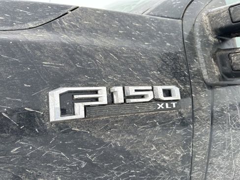 Used 2019 Ford F150 XLT w/ Equipment Group 302A Luxury image 4