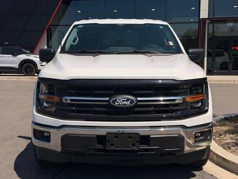 Used 2025 Ford F150 XLT w/ Equipment Group 301A Standard AWD/4WD image 7