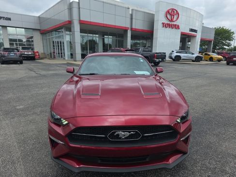 Used 2019 Ford Mustang Premium w/ Equipment Group 201A RWD image 2