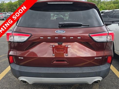Used 2021 Ford Escape SE AWD/4WD image 5