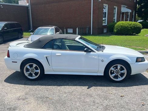 Used 1999 Ford Mustang Convertible RWD image 4
