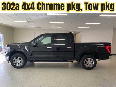 Used 2023 Ford F150 XLT w/ Equipment Group 302A High