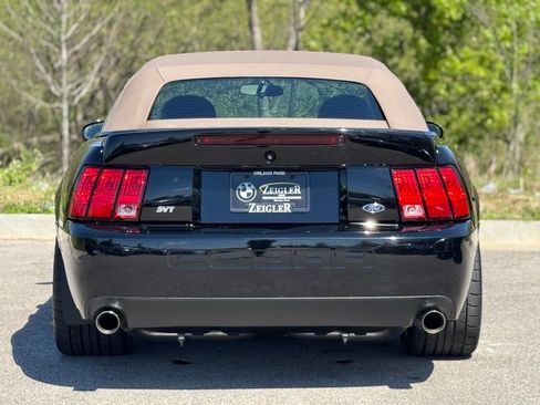 Used 2003 Ford Mustang Cobra RWD image 5