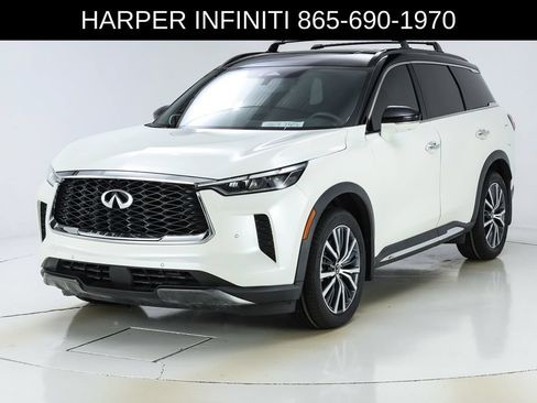 Used 2023 INFINITI QX60 Autograph w/ Cargo Package AWD/4WD image 1