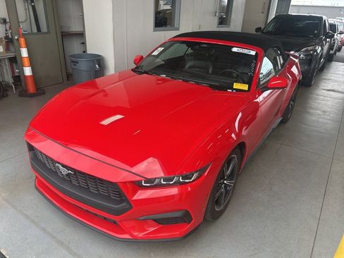 Used 2024 Ford Mustang Premium image 1