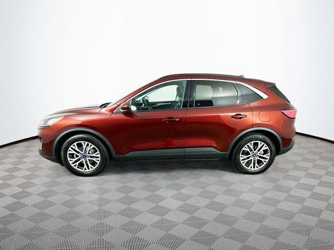 Certified 2021 Ford Escape SEL FWD image 7