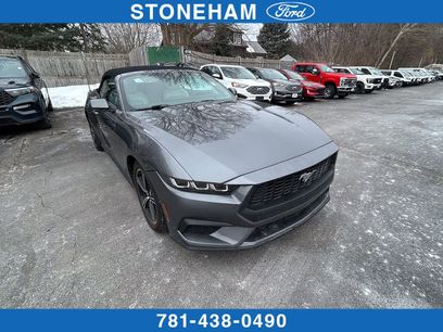 Certified 2024 Ford Mustang Premium