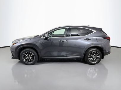 Certified 2024 Lexus NX 350 AWD w/ Cold Area Package