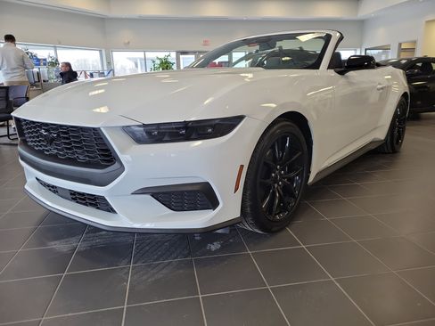 Used 2026 Ford Mustang Premium image 1