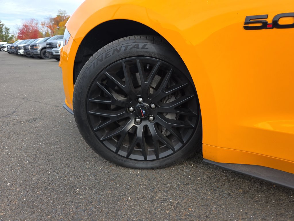 Used 2018 Ford Mustang GT Premium w/ Equipment Group 401A RWD image 14