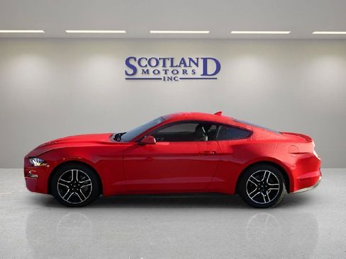Used 2022 Ford Mustang Premium RWD image 1