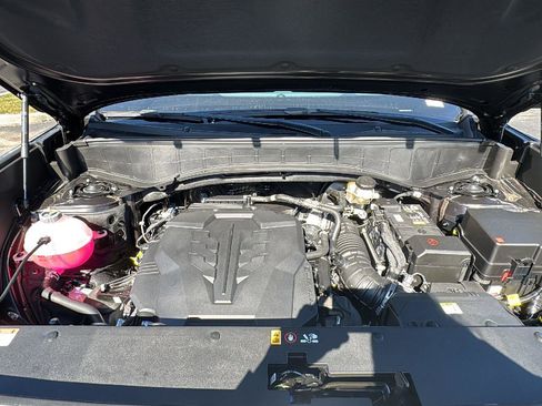 New 2026 Hyundai Palisade Calligraphy image 12