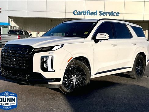 Used 2025 Hyundai Palisade Calligraphy image 1