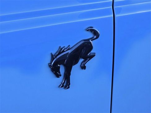 Certified 2022 Ford Bronco Wildtrak image 4