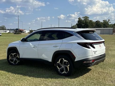 Used 2024 Hyundai Tucson Limited image 14