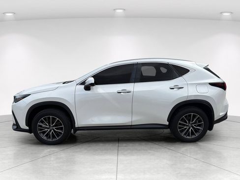 Used 2025 Lexus NX 250 FWD w/ Accessory Package (K3) image 7