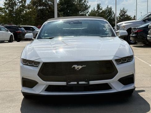 Used 2025 Ford Mustang Premium RWD image 6