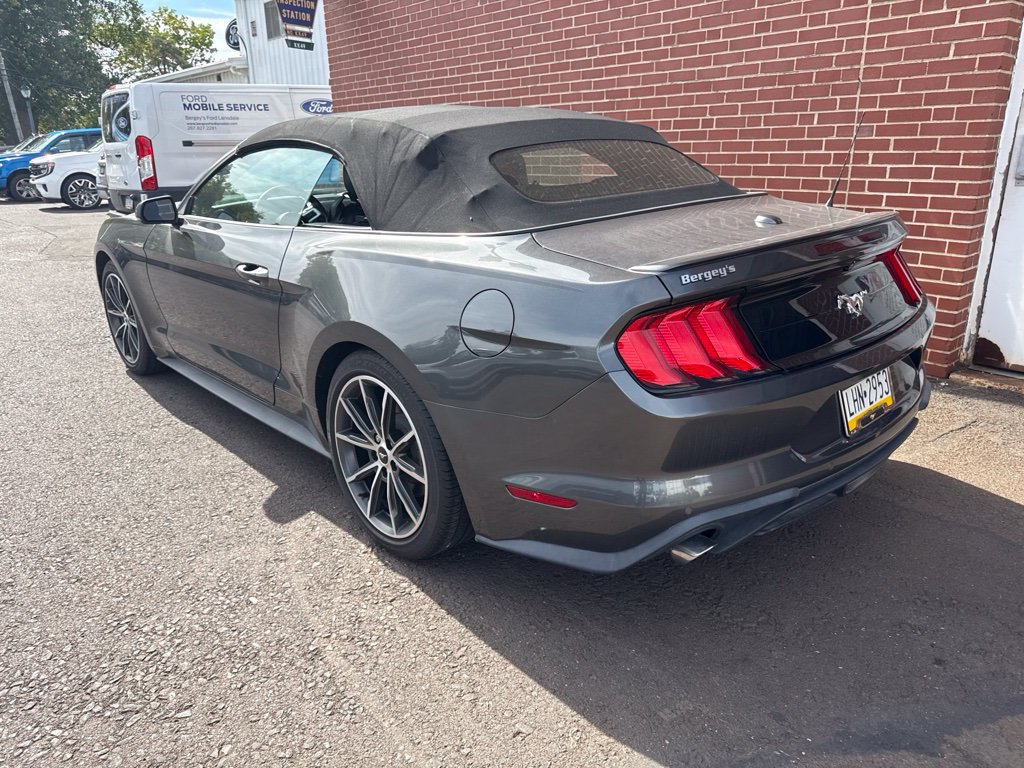 Used 2019 Ford Mustang Premium w/ Equipment Group 201A RWD image 4