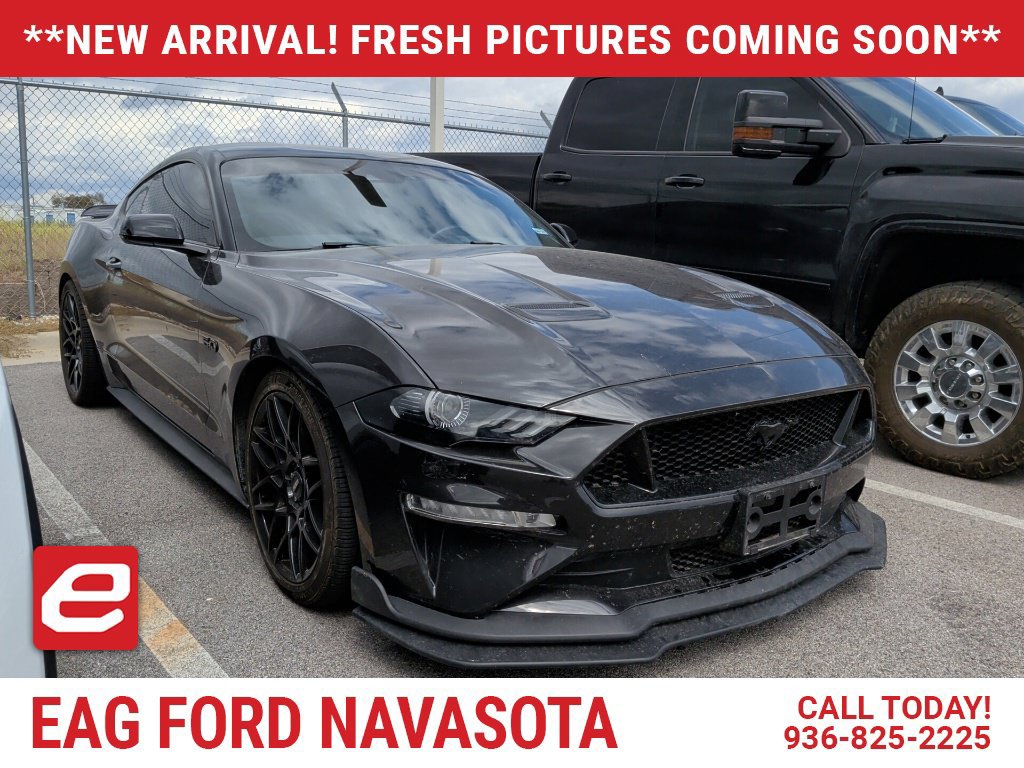 Used 2023 Ford Mustang GT Premium w/ Mustang Nite Pony Package RWD image 1