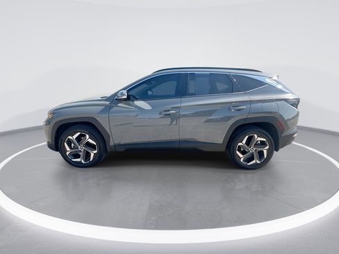 Used 2024 Hyundai Tucson Limited AWD/4WD image 5