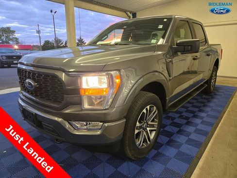 Used 2022 Ford F150 XL w/ STX Appearance Package image 3