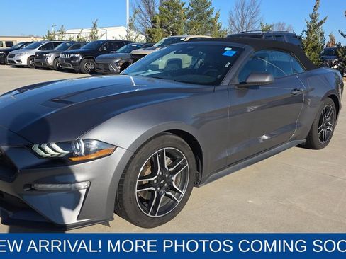 Used 2023 Ford Mustang Premium image 1