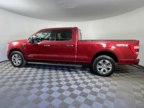 Used 2021 Ford F150 Platinum w/ Equipment Group 701A High AWD/4WD image 2