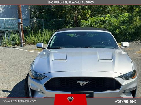 Used 2019 Ford Mustang Premium w/ Equipment Group 201A RWD image 2