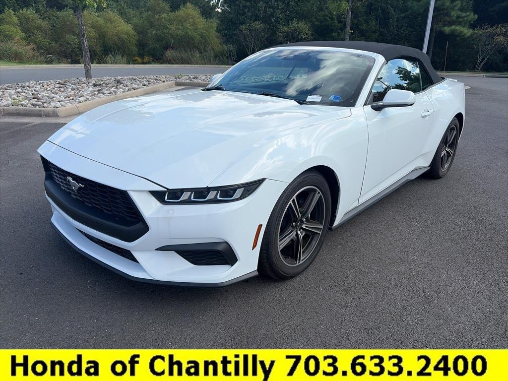Used 2025 Ford Mustang Premium RWD image 3