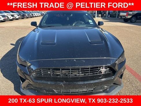 Used 2019 Ford Mustang GT Premium w/ Equipment Group 401A image 2