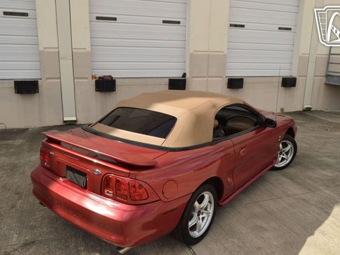 Used 1998 Ford Mustang Cobra RWD image 22